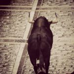 Pamplona72