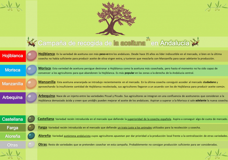 Electomanía publicará una estimación diaria de la cosecha de la aceituna en Andalucía.