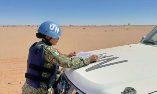 el consejo de seguridad de la onu apoya el plan marroqui para el sahara occidental y prorroga un ano mas la mision