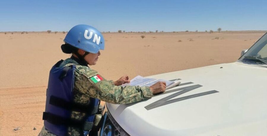 el consejo de seguridad de la onu apoya el plan marroqui para el sahara occidental y prorroga un ano mas la mision