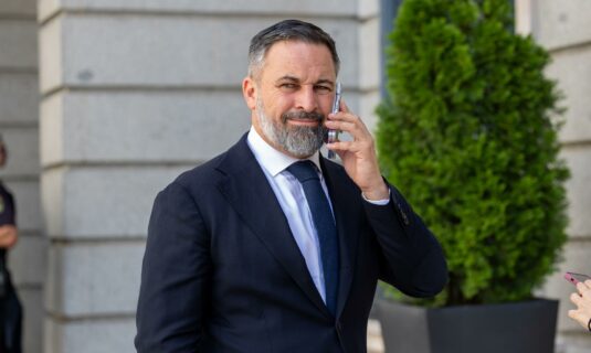 abascal apoya las palabras de elon musk contra sanchez