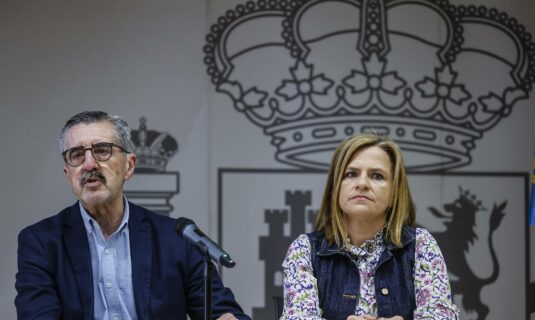 el gobierno ha pedido informacion al comisionado de la dana sobre su titulacion y espera que se pronuncie de inmediato