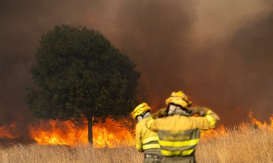 la oposicion de cyl se une para exigir ya la comparecencia de manueco por los incendios mientras el pp prefiere esperar