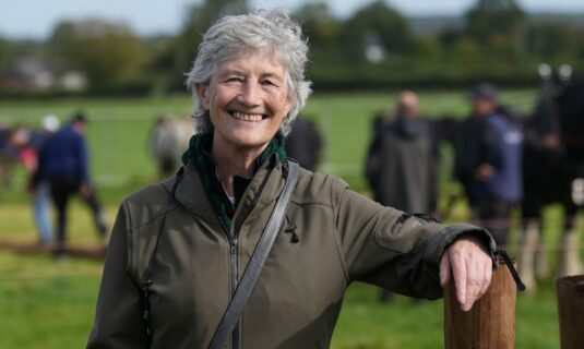 ireland votes proyecta que catherine connolly ha ganado las elecciones presidenciales por mayoria
