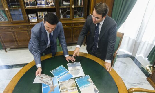 detenidos el presidente y el vicepresidente de la diputacion de almeria por presuntos contratos irregulares