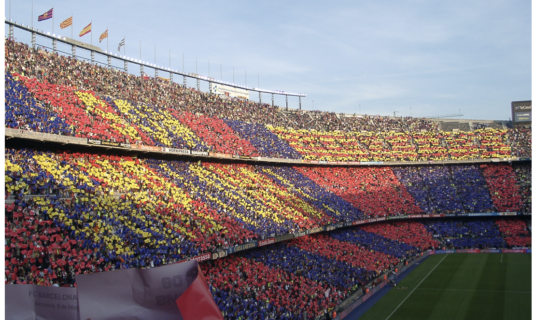 consejera catalana de interior juzga desproporcionada la actuacion policial contra un aficionado del barca en elche