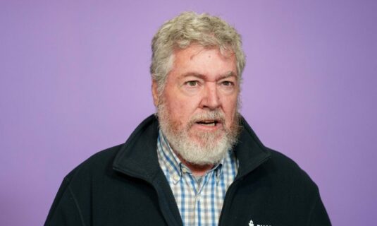 alianza verde concurrira a las elecciones de aragon en coalicion con podemos