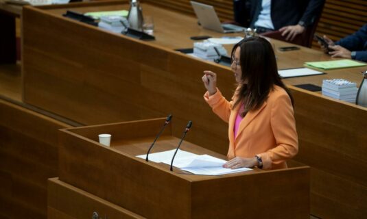 el pspv reclama a feijoo que entregue a la jueza de la dana la conversacion integra con mazon