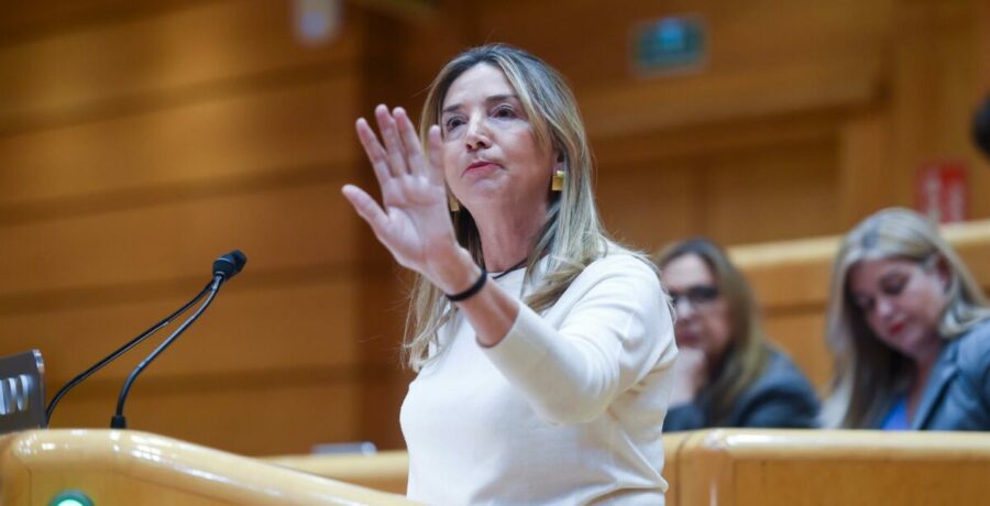 pp desdena la auditoria de cuentas del psoe es como encargar a abalos un informe sobre abolir la prostitucion