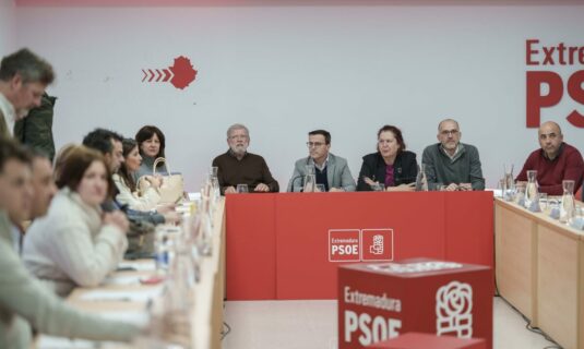 ferraz designara una gestora en el psoe extremeno tras la renuncia de gallardo por un resultado desastroso