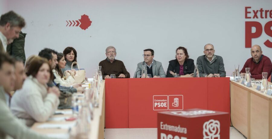 ferraz designara una gestora en el psoe extremeno tras la renuncia de gallardo por un resultado desastroso