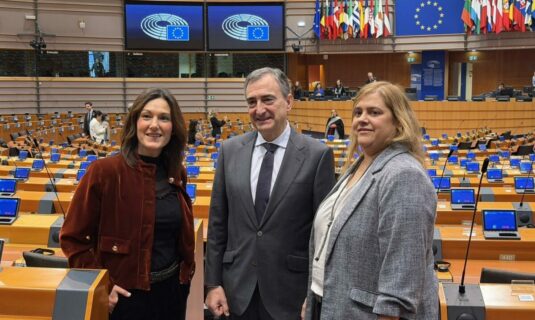 pnv dice que puente debe dar muchas explicaciones e insta a pensar menos en subvenciones y mas en infraestructuras