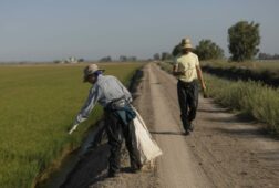 coag valora la regularizacion de migrantes ante la falta de mano de obra en el medio rural