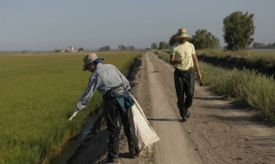 coag valora la regularizacion de migrantes ante la falta de mano de obra en el medio rural