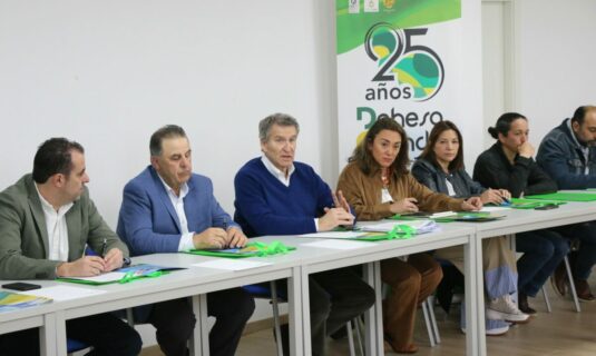 feijoo llama a unir el voto en el pp y no dispersarlo con vox en cyl si nos dividimos no venceremos