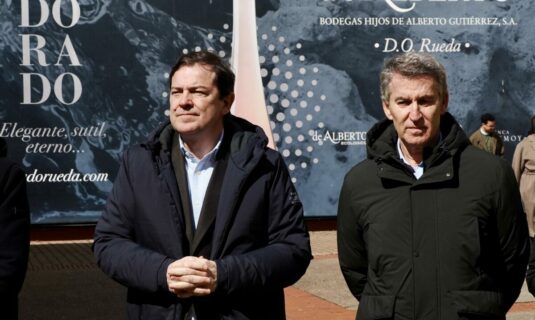 temor en el pp a que vox pueda superar el 20 en cyl y que el pulso en extremadura enturbie la campana de manueco