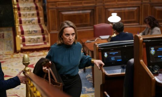 el pp anuncia una auditoria en el senado a la nefasta gestion de marlaska al frente de interior