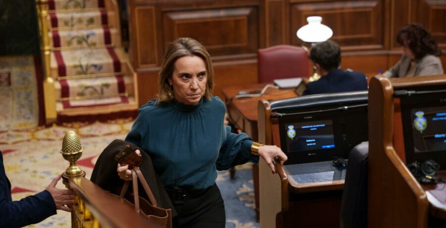 el pp anuncia una auditoria en el senado a la nefasta gestion de marlaska al frente de interior