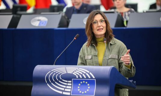 el pnv lamenta en la eurocamara que se prohiba la ikurrina en edificios publicos del estado de idaho eeuu