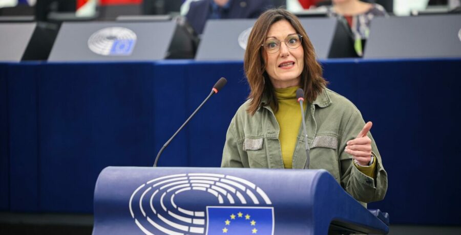 el pnv lamenta en la eurocamara que se prohiba la ikurrina en edificios publicos del estado de idaho eeuu