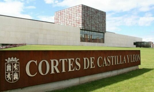 la tradicion historica prevalece en cyl que elige procuradores y no diputados