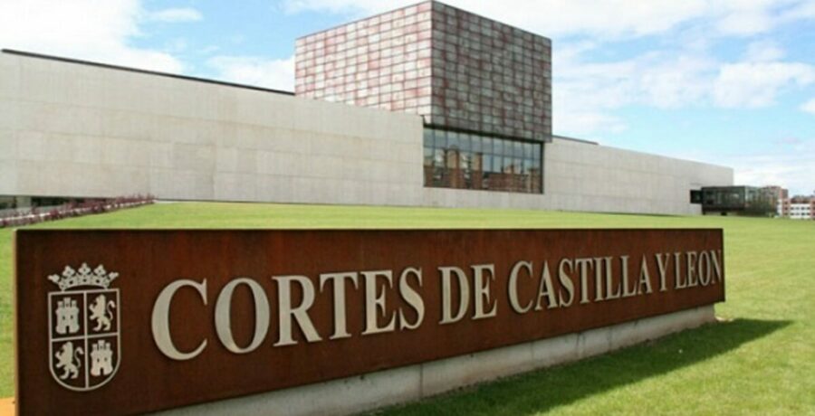 la tradicion historica prevalece en cyl que elige procuradores y no diputados