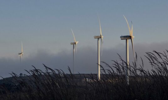 el bce destaca los beneficios de la transicion de espana hacia las energias renovables