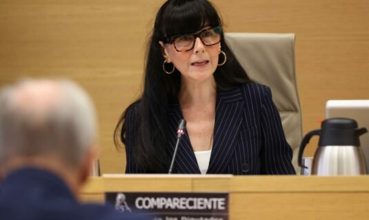 el juez cita como investigada a la presidenta de la sepi en el caso leire diez en la pieza de presuntos amanos