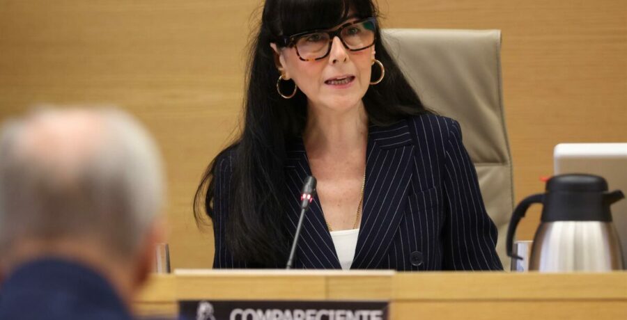 el juez cita como investigada a la presidenta de la sepi en el caso leire diez en la pieza de presuntos amanos
