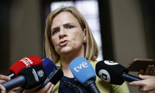 bernabe afirma que psoe ha dado todas explicaciones sobre leire diez