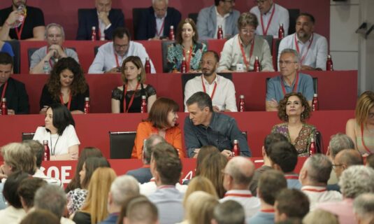 un grupo de criticos del psoe pide al comite federal elecciones generales y que nombre una gestora