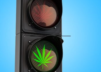 El debate sobre la regulación del cannabis en Europa: modelos políticos, opinión pública e impacto social