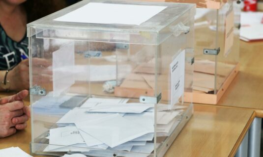la jec exige motivar en que provincia se inscribe a los electores nacionalizados por la ley de nietos