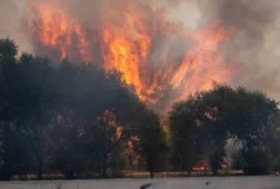 espana solicita ayuda a la union europea para combatir los incendios