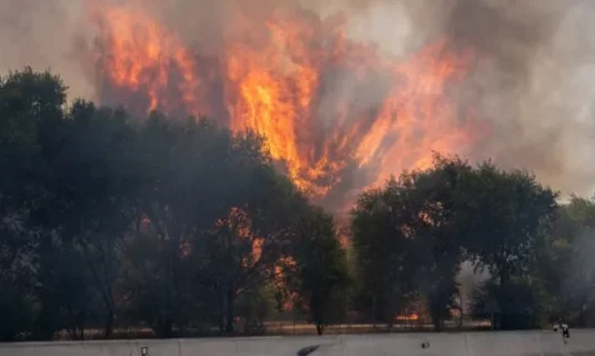 espana solicita ayuda a la union europea para combatir los incendios