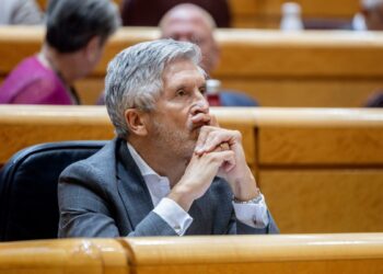 Marlaska, la secretaria de Zapatero y el ex ‘número dos’ del PSOE de Navarra comparecerán esta semana en el Senado