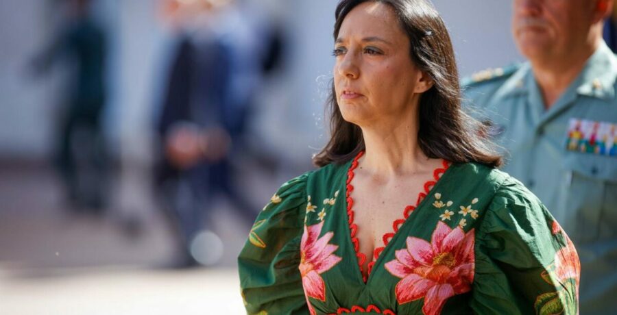 el pp solicita al juez la imputacion de la directora de la guardia civil en el caso leire diez