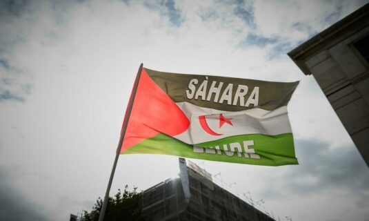 la ley para nacionalizar saharauis vuelve a frenarse en el congreso que no la aprobara hasta despues del verano
