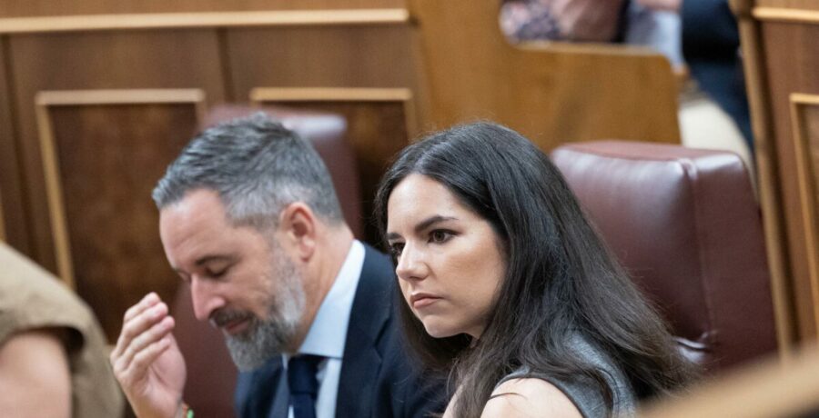 vox plantea disolver los grupos del congreso que promuevan la separacion de espana desde la camara
