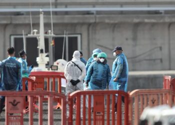 Sanidad informa de un caso de hantavirus Andes en un ciudadano franco-argentino que se encuentra en Galicia