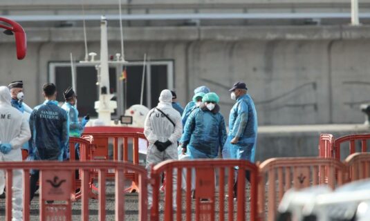 sanidad informa de un caso de hantavirus andes en un ciudadano franco argentino que se encuentra en galicia