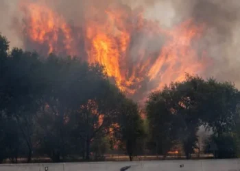 España solicita ayuda a la Unión Europea para combatir los incendios