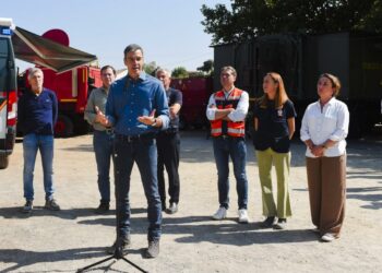 El Gobierno declarará zonas gravemente afectadas las áreas dañadas por los incendios