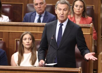 El presidente del Partido Popular, Alberto Núñez Feijóo, interviene durante una sesión plenaria en el Congreso de los Di