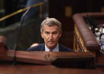 El presidente del Partido Popular, Alberto Núñez Feijóo, durante una sesión plenaria en el Congreso de los Diputados, a