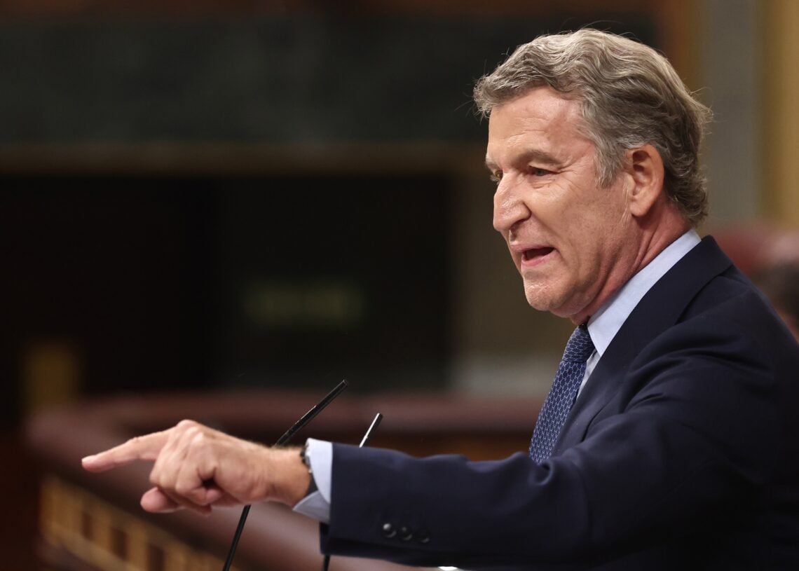El presidente del Partido Popular, Alberto Núñez Feijóo, interviene durante una sesión plenaria en el Congreso de los Di