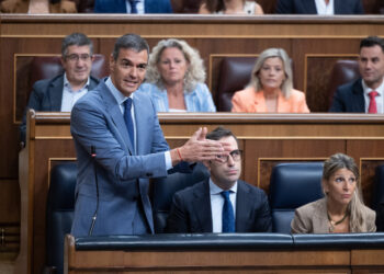 El presidente del Gobierno, Pedro Sánchez, interviene durante una sesión de control al Gobierno, en el Congreso de los D
