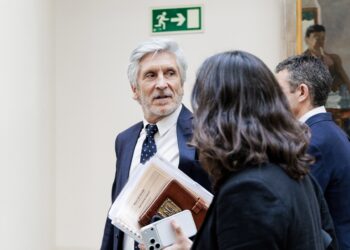 El ministro del Interior, Fernando Grande-Marlaska.