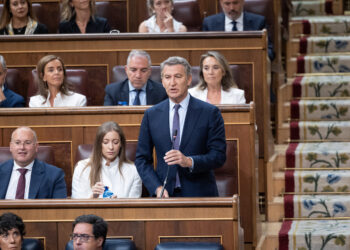 El presidente del Partido Popular, Alberto Núñez Feijóo, interviene durante una sesión de control al Gobierno, en el Con