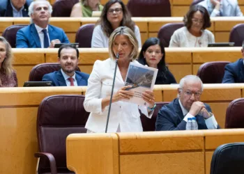 La portavoz del PP en el Senado, Alicia García